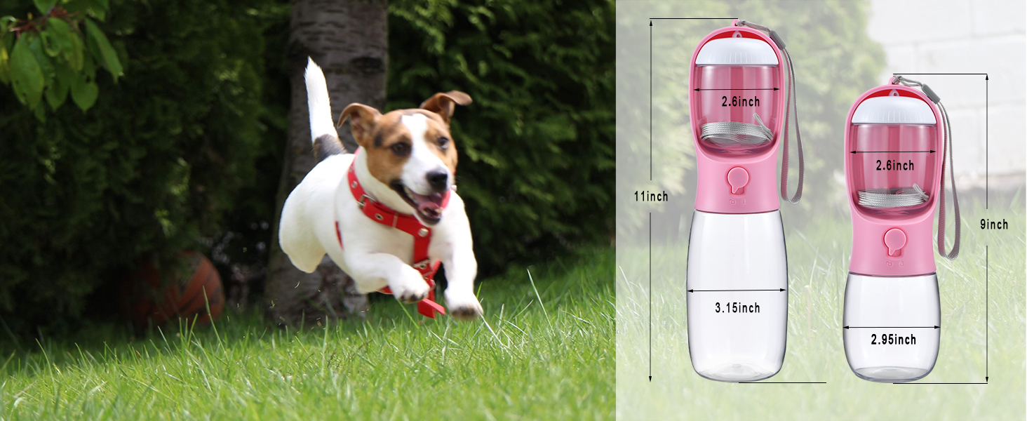dog water bottle
