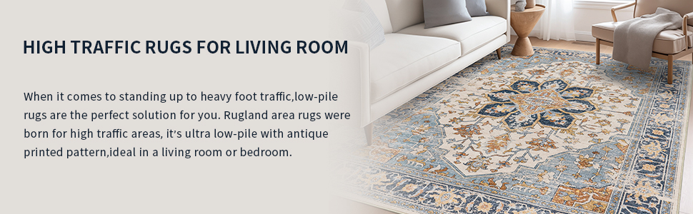 Blue Rug