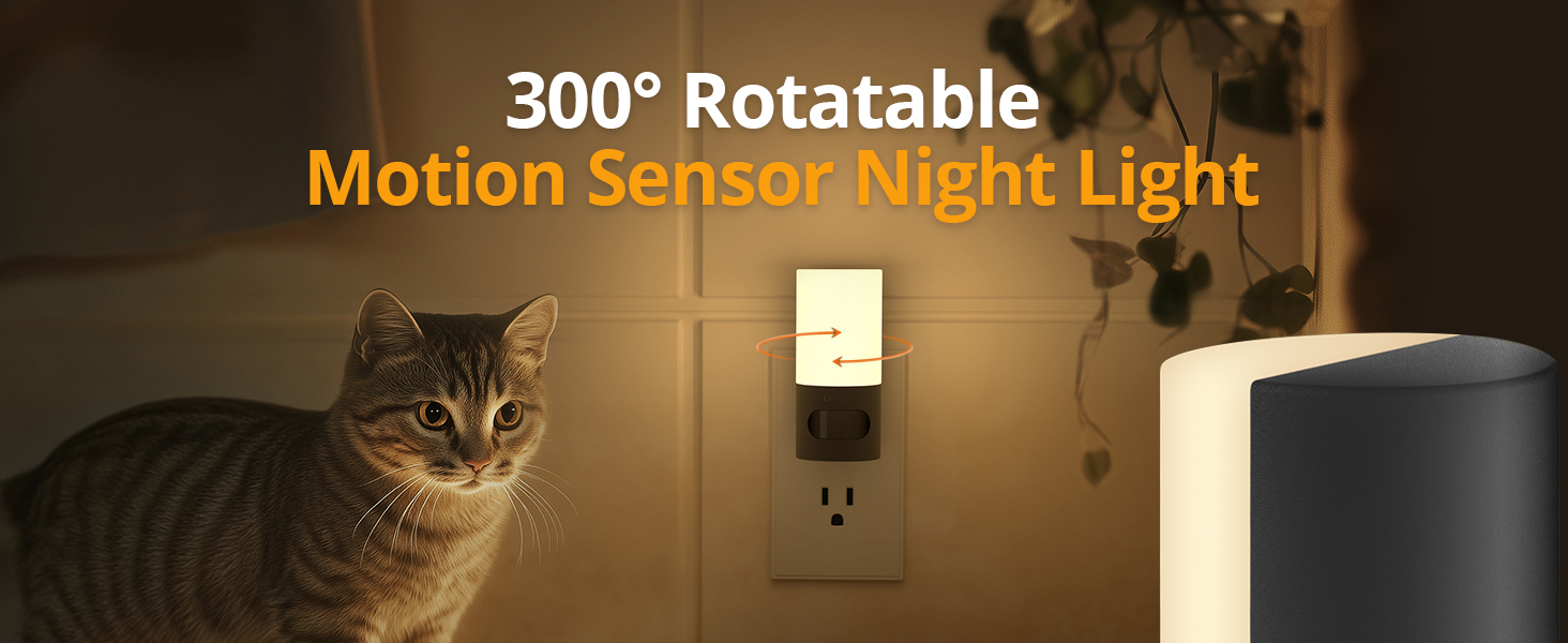 Rotatable night light
