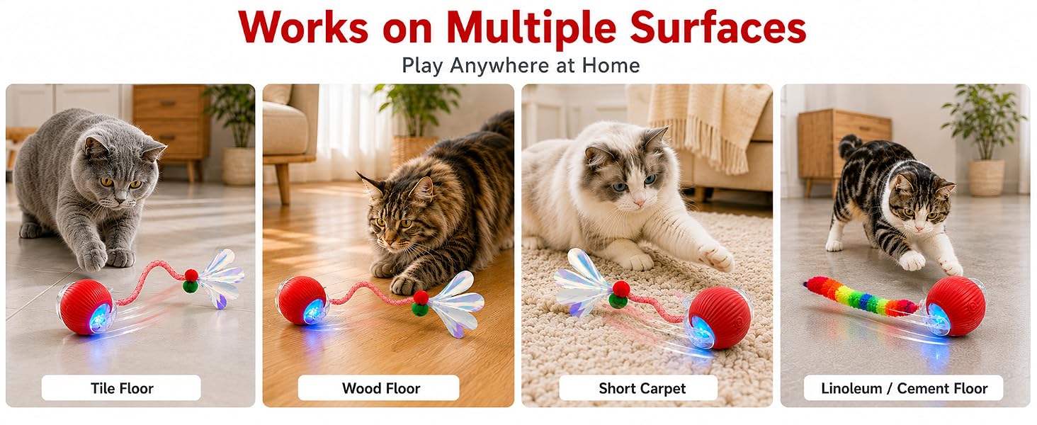 indoor cat toys