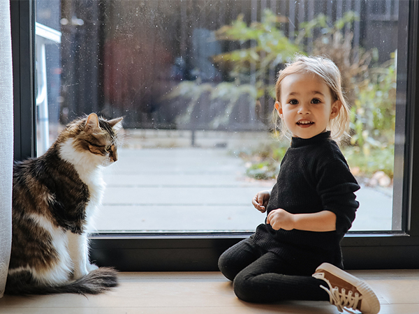 window security film shatterproof