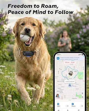 dog care with ai tracker