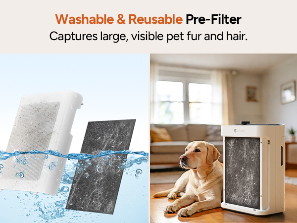 air purifiers