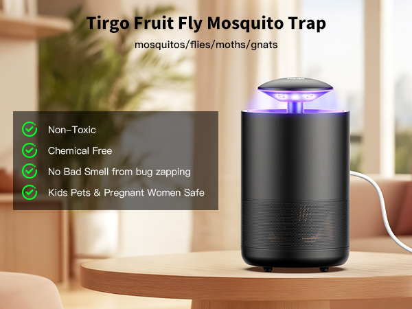 fruit fly trap indoor