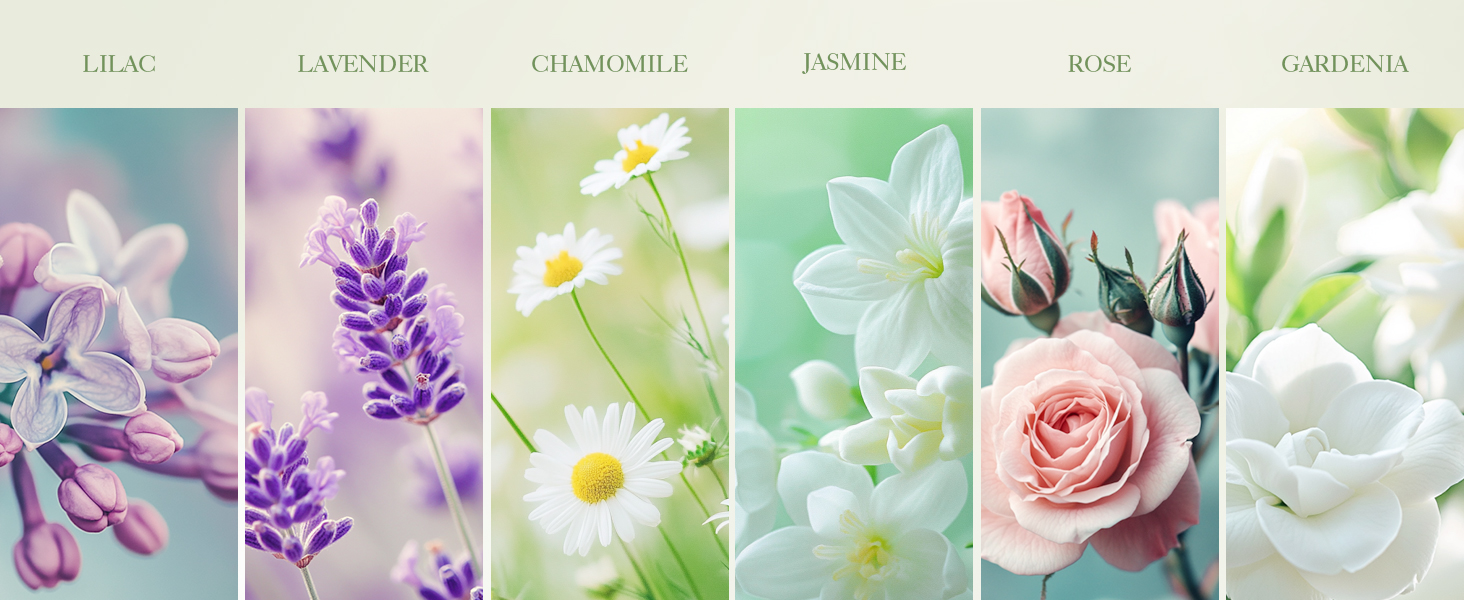 Essential Oils Set