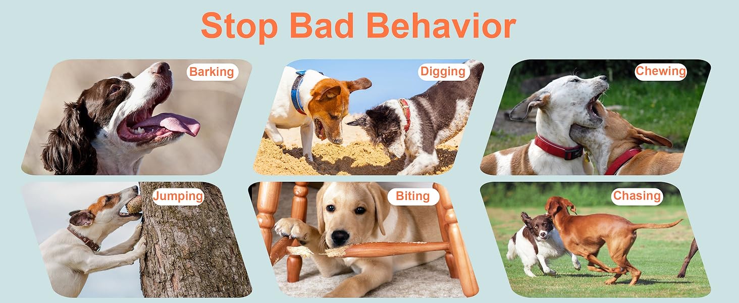 dog bark deterrent devices