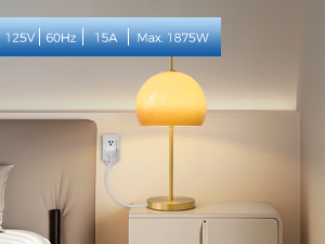 remote outlet switch