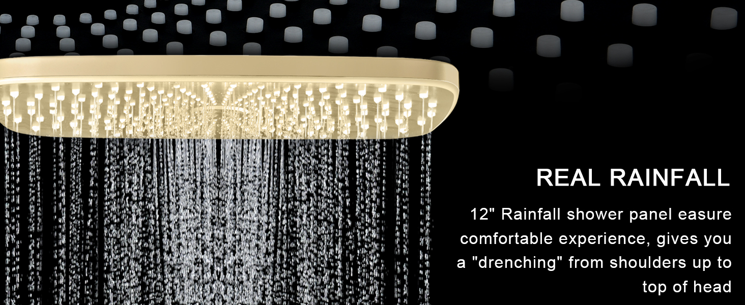 shower head with handheld