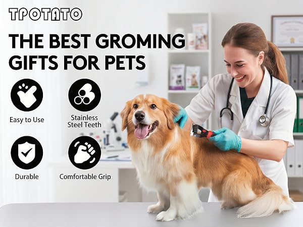 dog brush
