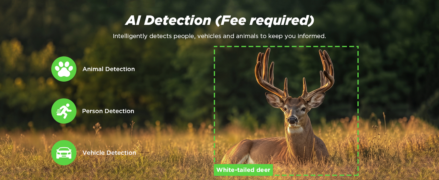 trail camera