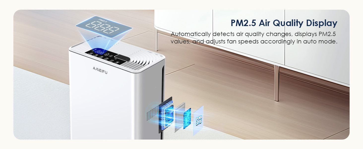 Air Purifiers for Home
