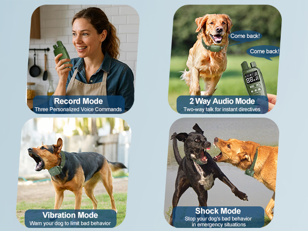 dog training collar