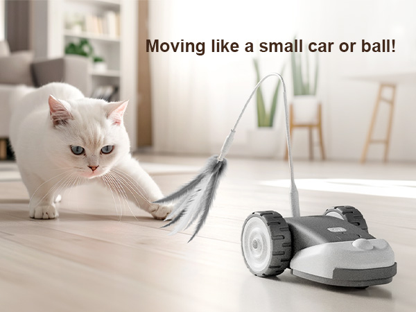 Interactive Cat Toy