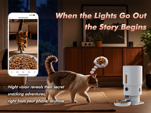 automatic cat feeder cat food dispenser pet feeder