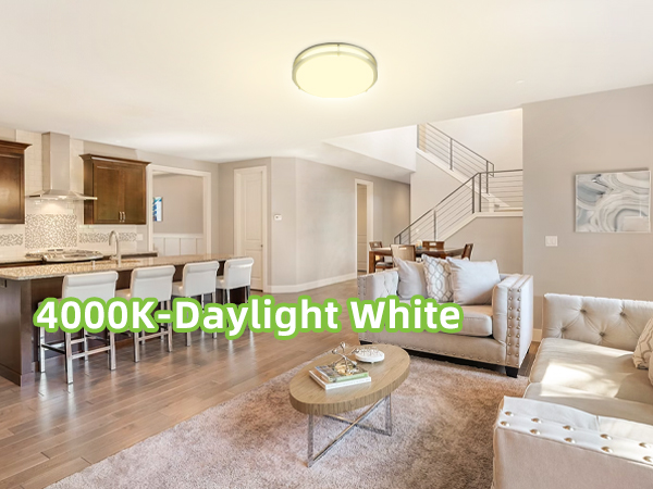 Flush Mount LED Ceiling Light Fixture