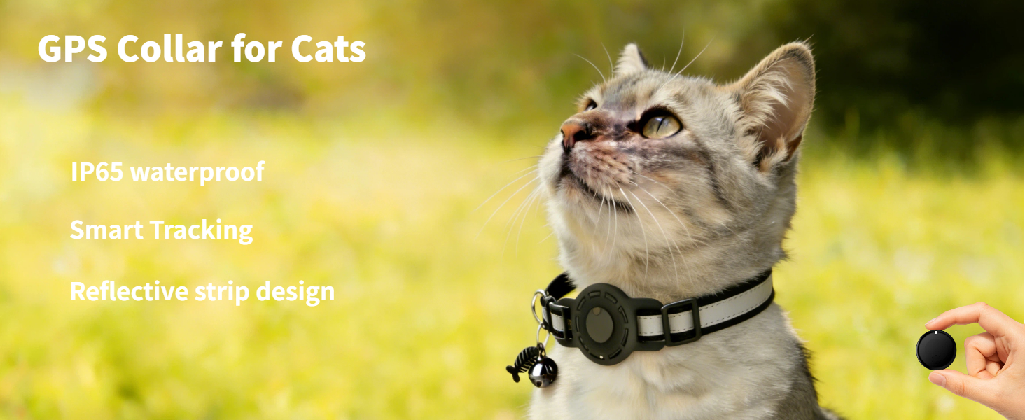 GPS Collar for Cats