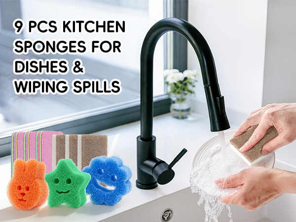 Kitchen Sponges