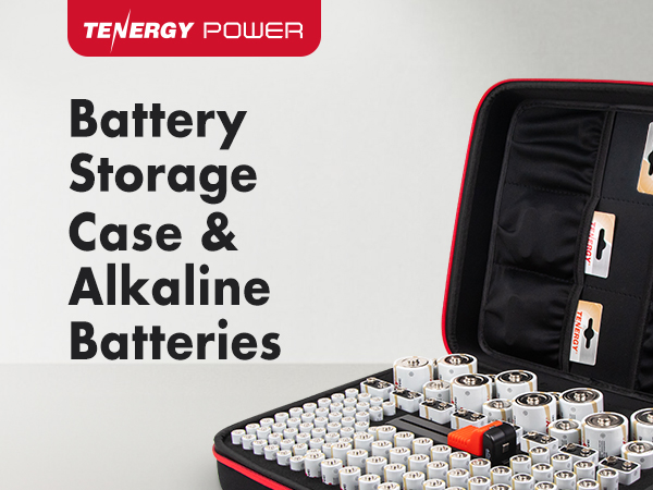 Tenergy battery storage case and 120 batteries