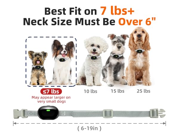 shock collar for dogs bark collar for small dogs shock collar for small dogs small dog collar