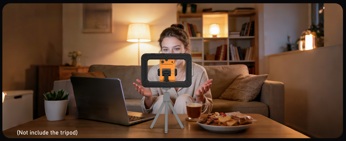 Smartphone Video Rig with Light