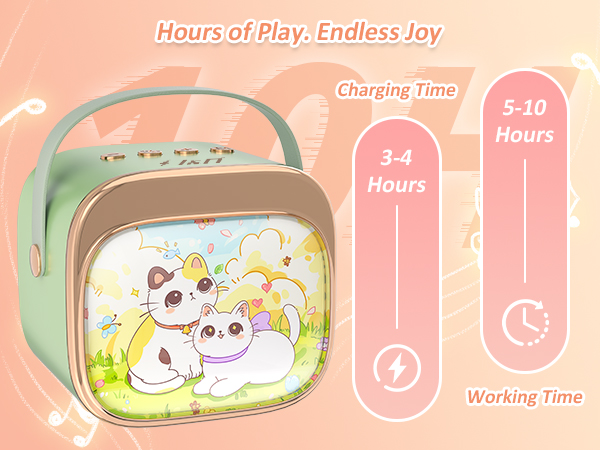 2 year old girl birthday gift