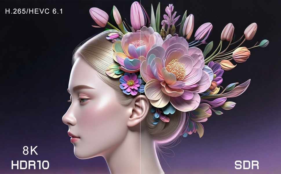 streaming box for tv fully loaded