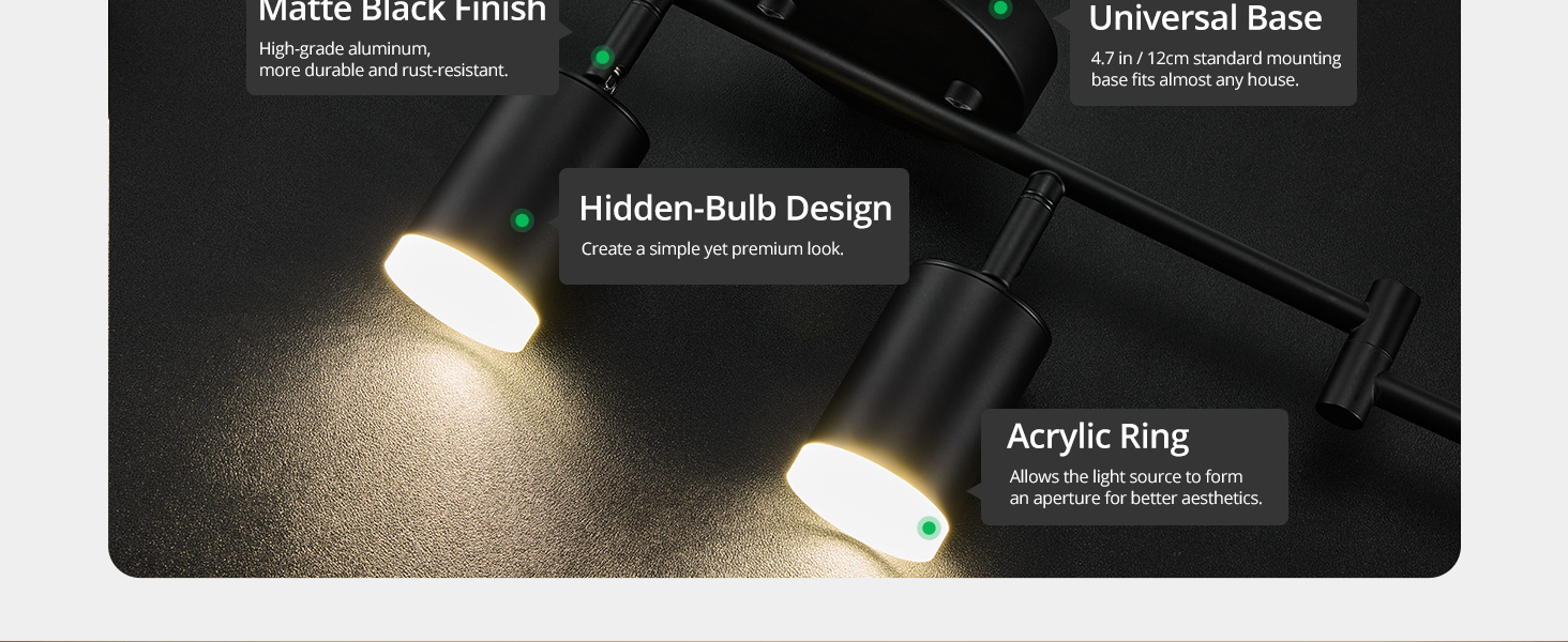 black ceiling track light