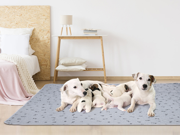 wasahble dog pee pads