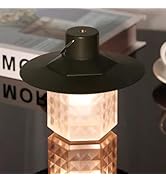 Rechargeable LED Camping Lantern, Stepless Dimming Camping Lights with 1000LM, Camping Essential ...