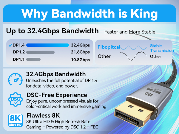 DisplayPort to DisplayPort Cable