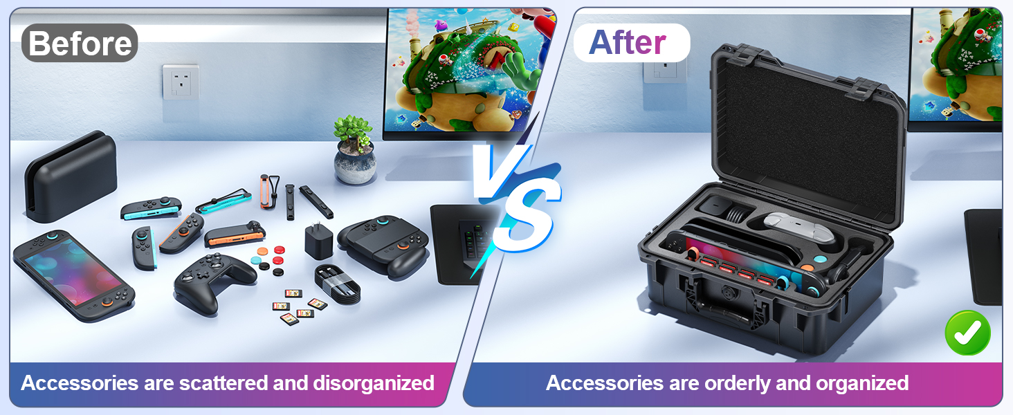 Organized hard case for switch 2