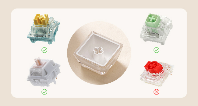 Lusterfly jelly kecaps set