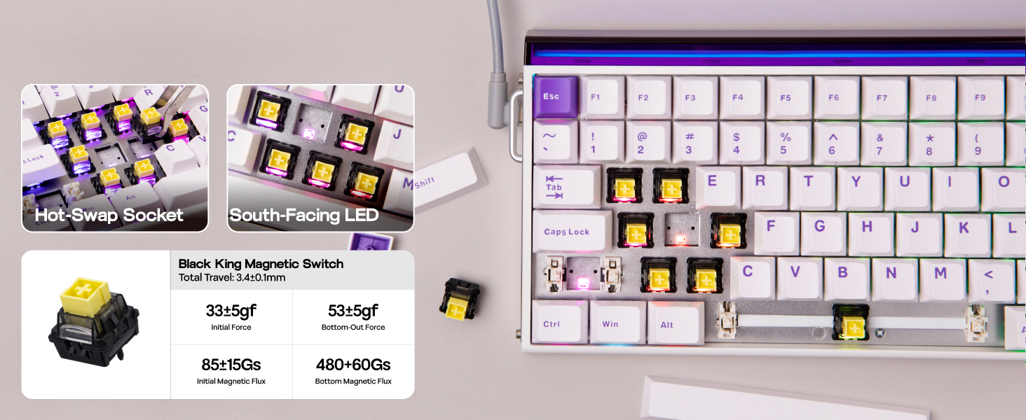 Hall Effect Keyboard with Neon RGB Light Box