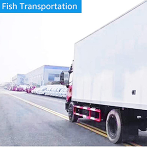 fish transportation
