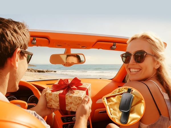Sunglass Holder for Car