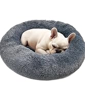 dog bed