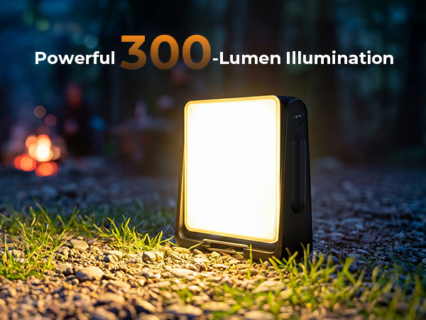 emergency flashlights for home