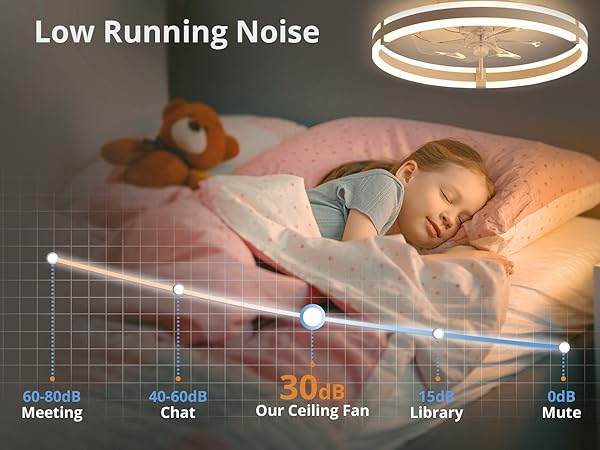 Ceiling Fans with Lights