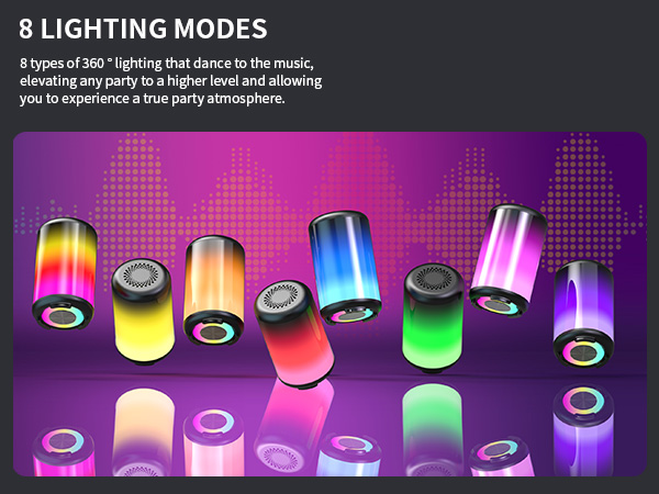 Portable Bluetooth Speaker