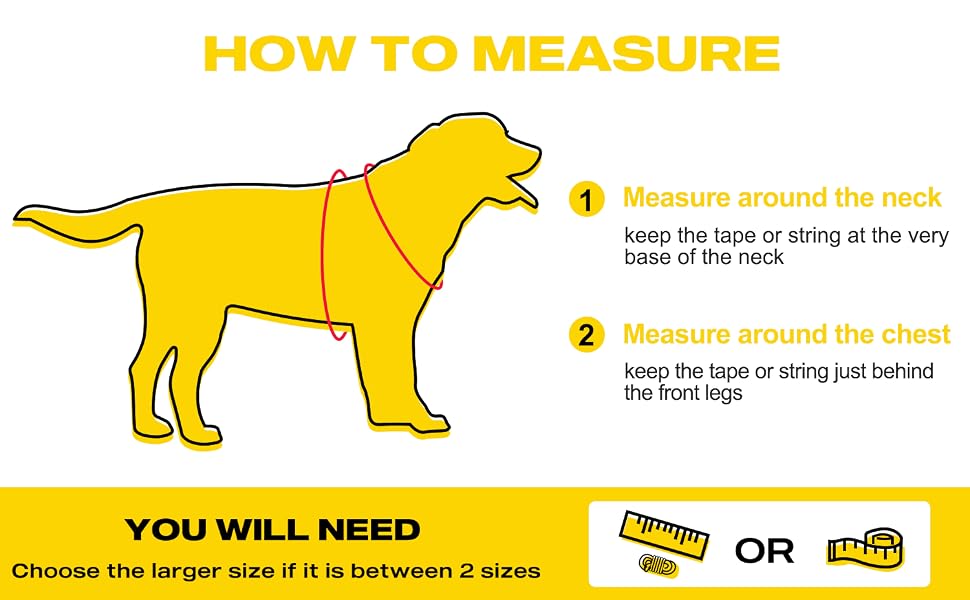 measure