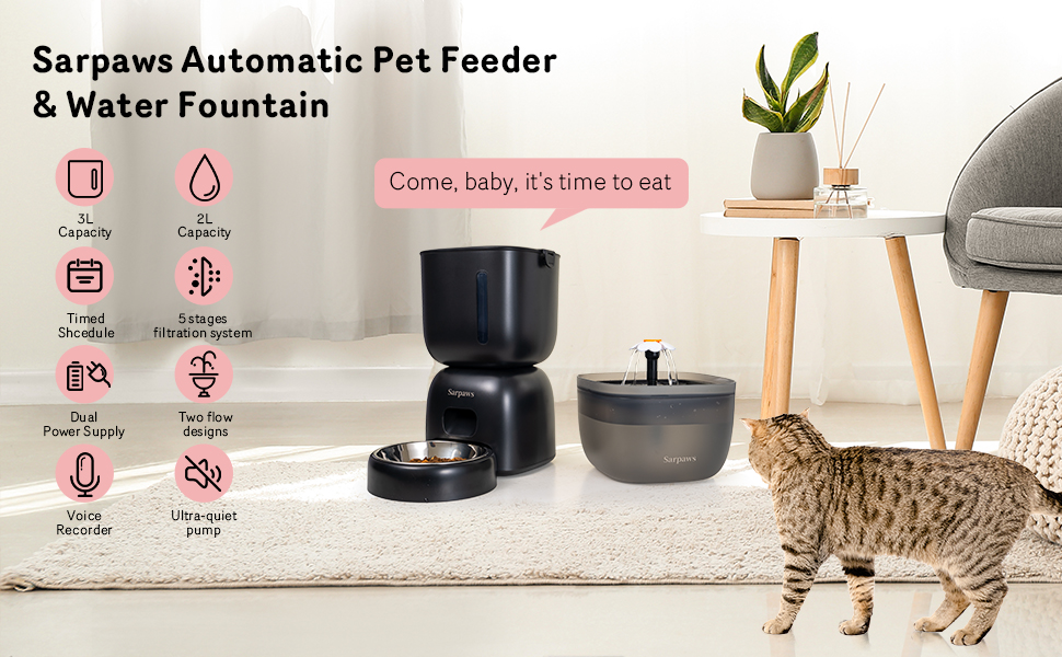automatic cat feeder