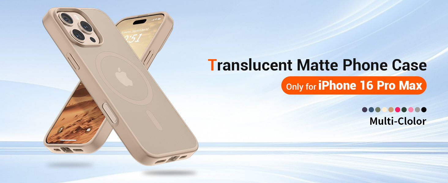 iPhone 16 Pro Max case