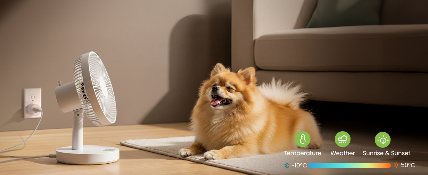 wifi plugs smart plug