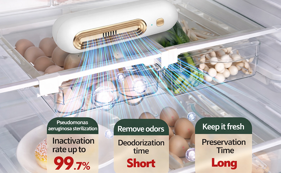 Reusable Fridge Odor Eliminator for Fridge