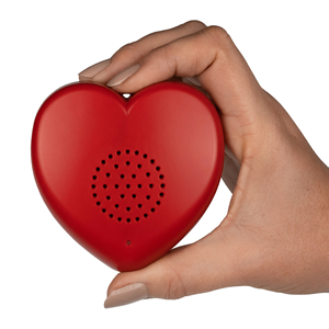 Talking Heart Voice Recorder