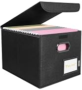 BALEINE File Organizer Box with Lid, Collapsible File Folder Organizer with Plastic Slide, Hangin...
