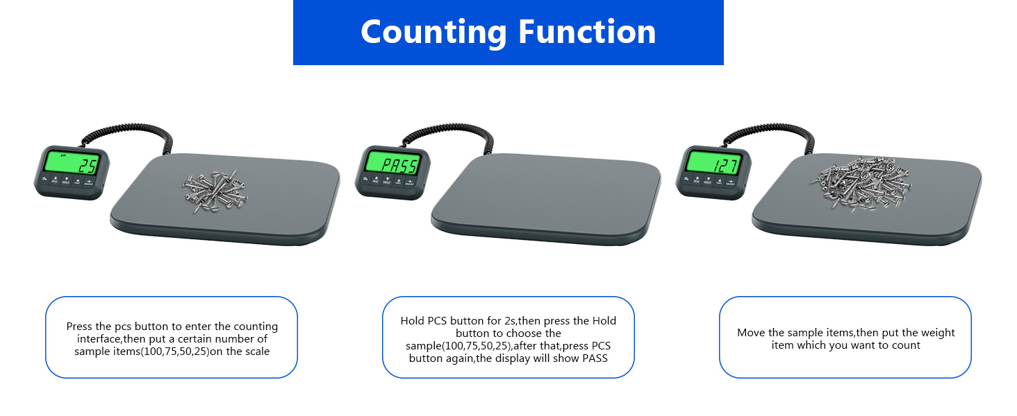 Digital Scale