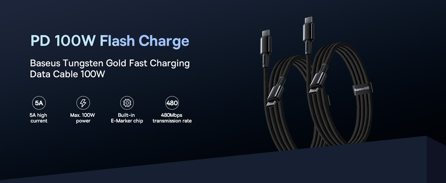100W USB C to USB C Cable 2Pack