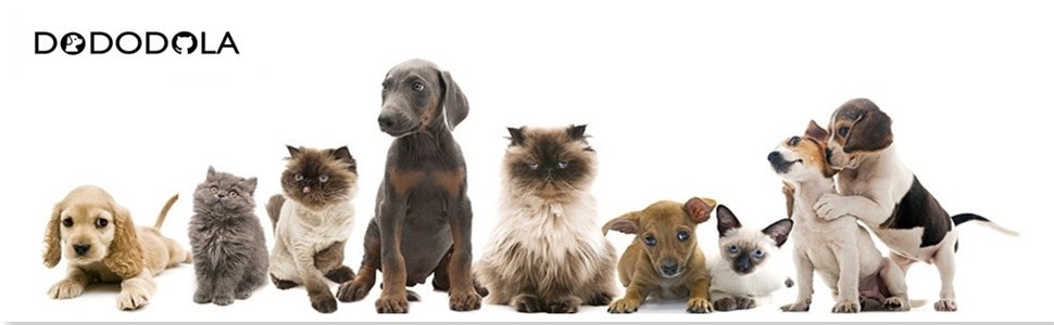 DODODOLA Dog Toys