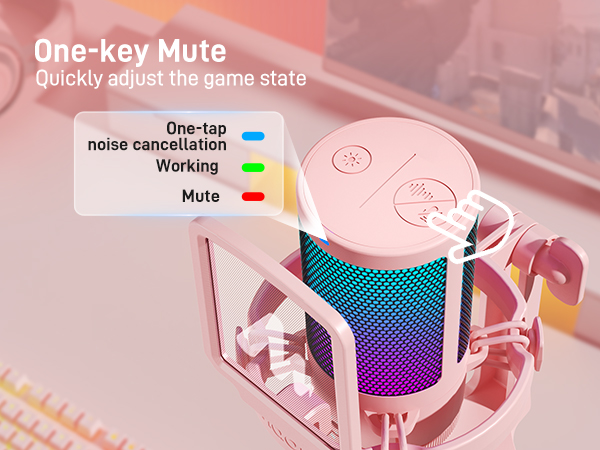 Computer Microphone
